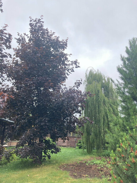 Гостиница Атриум Ковров-80