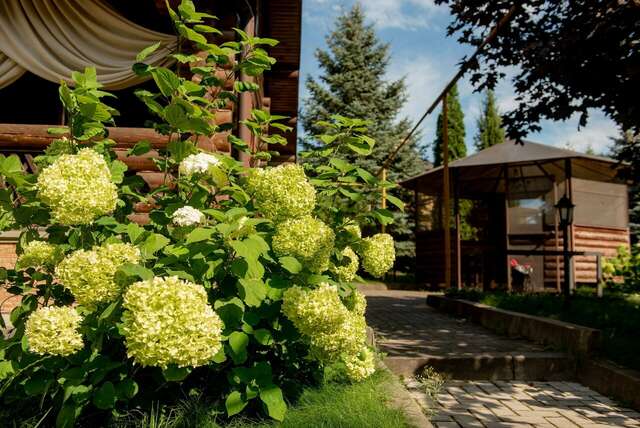 Гостиница Атриум Ковров-120