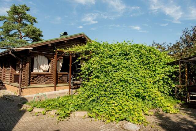 Гостиница Атриум Ковров-121